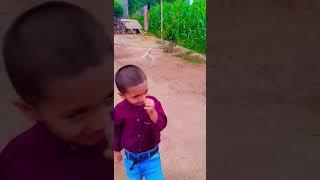 Hammad is playing with baby dog  #shortvideo #fypシ #yt #trending