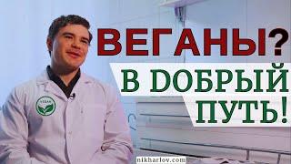 Как перейти на вегетарианство, перестать есть мясо. Что едят вместо мяса. Международный день вегана.