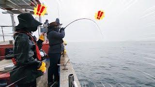 동해 앞바다에 초대형 문어 두족류를 직접 낚시로 잡아서 먹어보자!