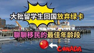 大批留学生回国放弃绿卡，聊聊移民的最佳年龄段｜加拿大｜新移民｜#S哥闖北美