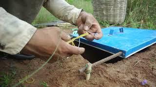 Amazing Learning Build Underground Trap In The Forest Work 100%