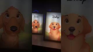 “Terrible art” #dogart #disneyart #disney #doglover #catlover