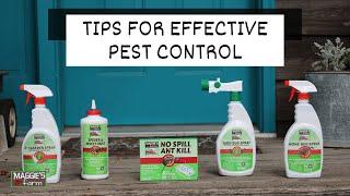 Tips for Effective Pest Control