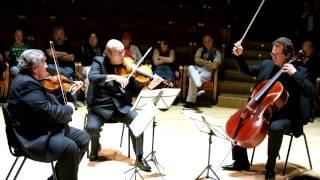 Amati String Trio - L. van Beethoven - Trio per archi op.8 in re magg. - Adagio