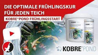 Kobre®Pond Frühlingsstart - der Teichkick zum Saisonbeginn!