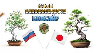 Какой национальности бонсай? @Studio.Bonsai