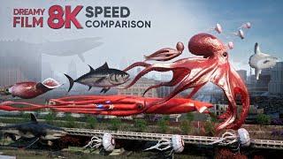 8K FISH: Surreal SPEED Comparison