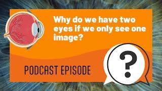 But Why Kids | Why do we have two eyes if we only see one image? | Full Podcast Episode