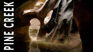 Pine Creek Canyon - The most FUN technical canyon in Zion National Park