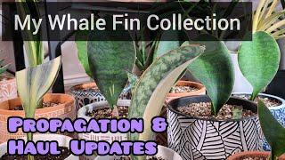 Whale Fin Propagation & Haul Update