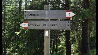 Mtb-Trail: Vom Sandjöchl nach Gossensass  -  Brenner Grenzkamm