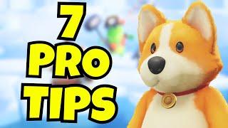 7 Pro Tips For Party Animals!