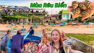 Quá Đẹp Mùa Rêu Biển Quê Minh | Nồi Lẩu Tôm Sú Mực Lá Bao Chất Lượng