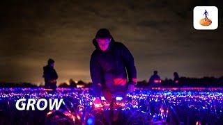 GROW - Daan Roosegaarde & Rabobank