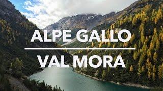 Herbst-Biketour Alpe Gallo – Val Mora