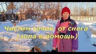 Чистим точок от снега (зола в помощь)(17.03.2024)