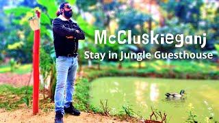 McCluskieganj - Gulmohar Guesthouse -  Best stay inside Jungle - Jharkhand Vlog - Lust for Road