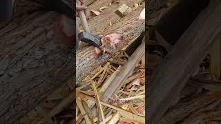 ‌Precision wood splitting skills