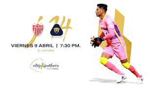 Resumen | Necaxa 0 - 1 Pumas UNAM | Liga MX - Clausura 2021 - Jornada 14 | PumasMX