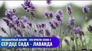 Сердце сада - лаванда // Ландшафтный дизайн - это просто! Сезон 2