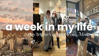 a weekend in my life | fall weekend day trip to Vermont from Montreal, Trader Joe's & Target Haul 