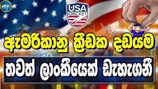 Another Sri Lankan cricketer migrating to America - ikka slk