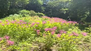 Rokko Garden Terrace Hyogo  Japan