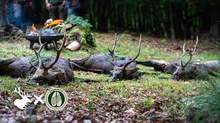 Jagd auf Sikawild im Arnsberger Wald – Die ersten 5 Minuten Hunt on Demand Trailer