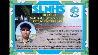 Research and Conservation of Sea Turtles of Sri Lanka by Dr Lalith Ekanayake