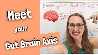 Gut Brain Axis Crash Course