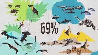 Video WWF per Living Planet report 2022