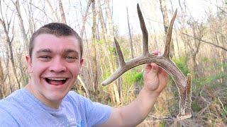 Shed Hunting!