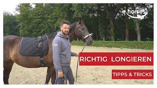 Longieren - Hilfreiche Tipps & Tricks bei der Longenarbeit