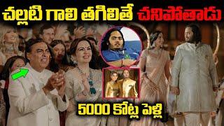 5000 కోట్ల అనంత్ అంబానీ పెళ్ళి  Mukesh Ambani Son Marriage | Ambani Wedding LIVE (2024)