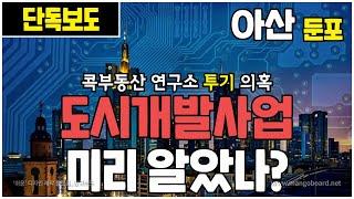 아산 단독 보도│도시개발사업 미리 알았나?│콕부동산 연구소 투기 의혹
