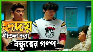 হৃদয় শীতল করার মত বন্ধুত্বের গল্প।।The last wish movie explain in bangla।।mixoviee।।emotional movie।