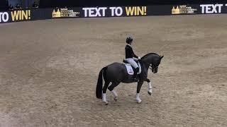 What Makes dressage horse Valegro So Special