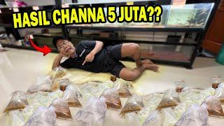 KAGET!! HABIS Rp 5.000.000 UNTUK HUNTING CHANNA? dapat apa aja...