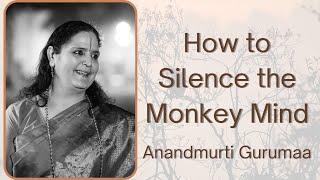 How to silence the monkey mind (English) | Anandmurti Gurumaa