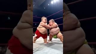 Baby wrestling #ai #fup #followme #trending #trendingshorts #cute