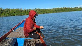 SA'AT AIR BERGERAK PASANG..!! KAWANAN IKAN INI MULAI BERDATANGAN KE PINGGIR MENCARI MAKANAN..!!