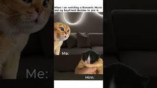 Cat Meme #5 #meme #memes #cat #shorts