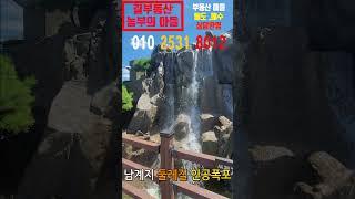 약목면 남계지 둘레길 인공폭포 20240731 #약목면남계지 #남계지 #길부동산 #왜관길부동산 #shorts