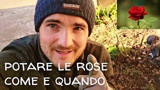 POTARE LA ROSA - COME E QUANDO