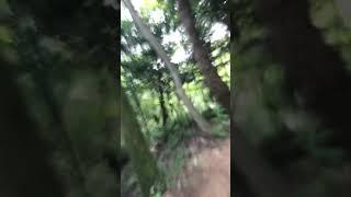 Beginners MTB trail with my friend July 14, 2020