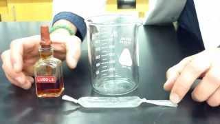 Diffusion Through a Membrane Lab - Part 1 making the model cell