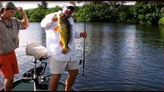 Best Top Water South Florida Peacock Bass Fishing with Paulpro PP and Captain Shane Procell