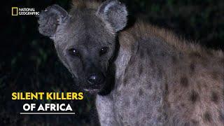 Snakes Strike in the Jungle | Africa’s Deadliest | हिंदी | S5 - E1 | Nat Geo Wild