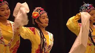 Oriental Dance Troupe - Taste of OSU 2017