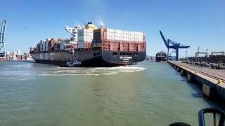 MSC Caterina turning_ Porto de Itajaí